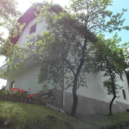 Pr' Hribar Lejlighed Zgornje Gorje Eksteriør billede