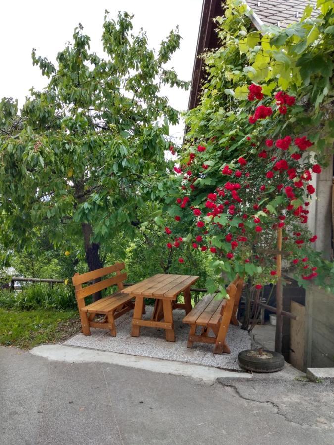 Pr' Hribar Lejlighed Zgornje Gorje Eksteriør billede