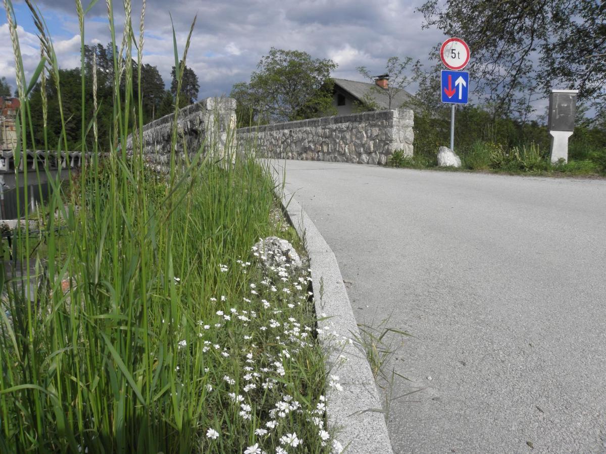 Pr' Hribar Lejlighed Zgornje Gorje Eksteriør billede